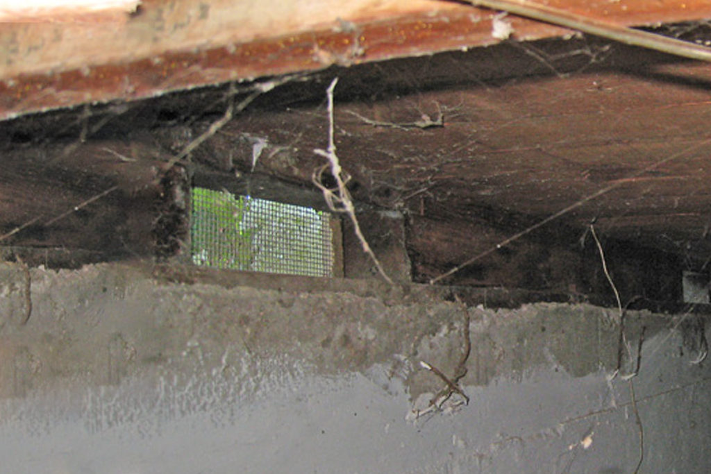 damaged insulation, fungi, mold, and inadequate ventilation